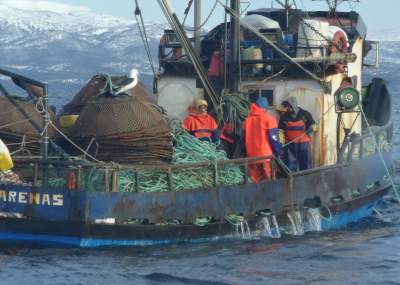 Decomisan importante cargamento de centolla en Puerto Williams